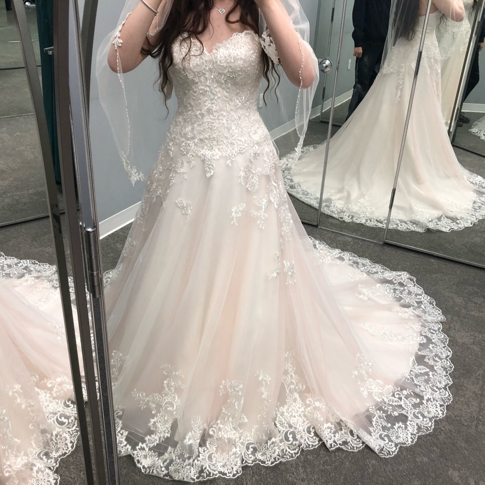 NWT David’s Bridal size 2 Jewel Vintage Rose Blush Wedding Gown